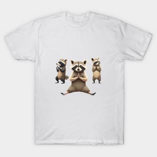 My Yoga Raccoon Master T-Shirt